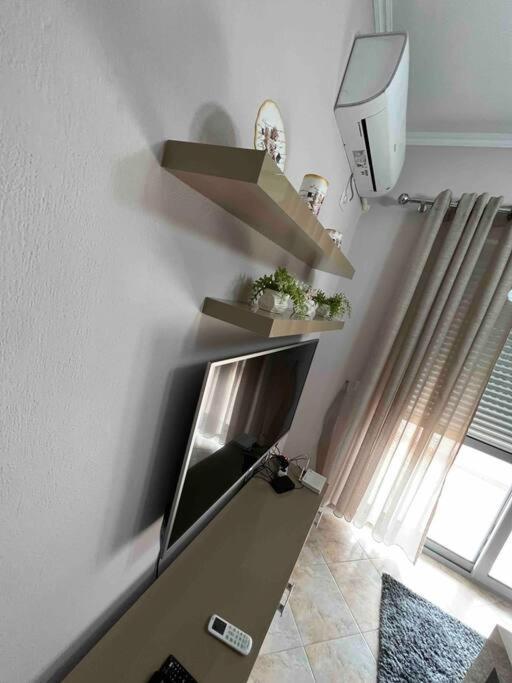 Tea Summer Apartment *